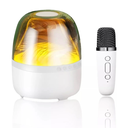 Bocina Con Microfono MOREKA 