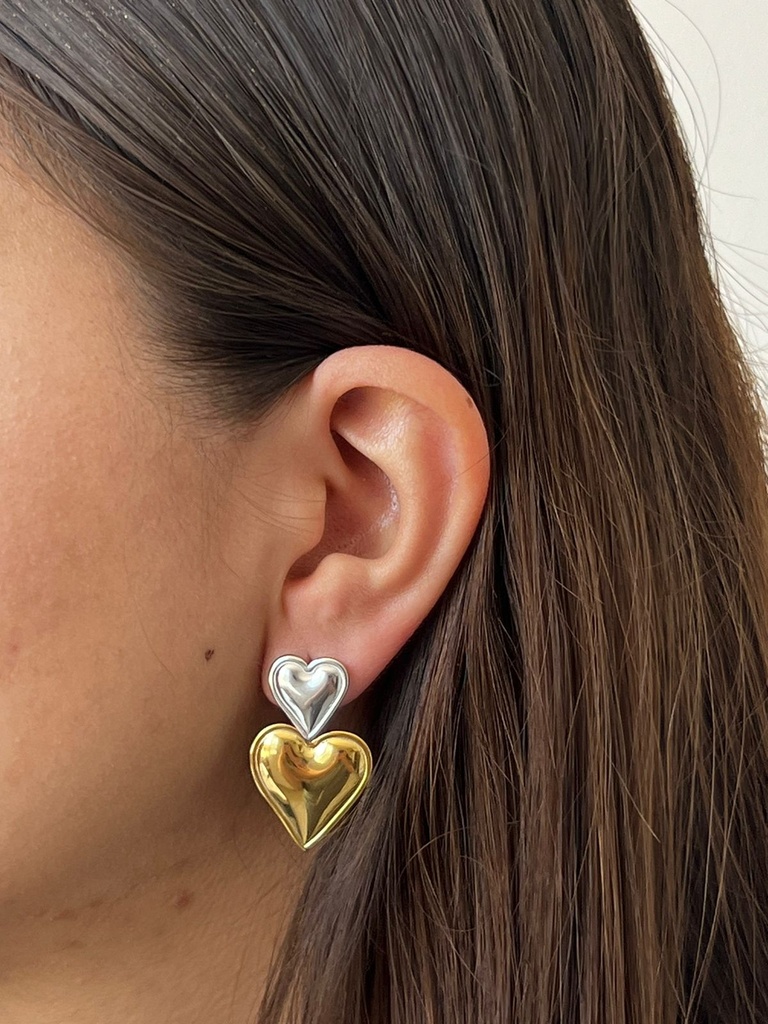 Aretes Latido Bicolor