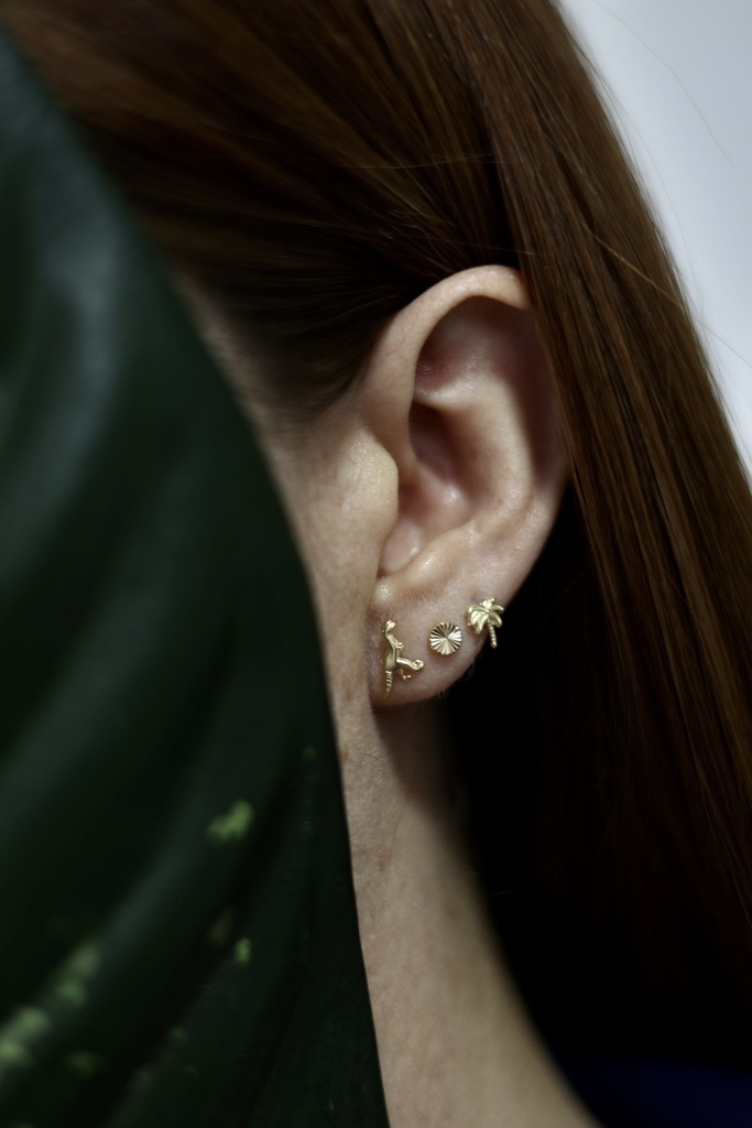 Broquel Dinosaurio T-Rex