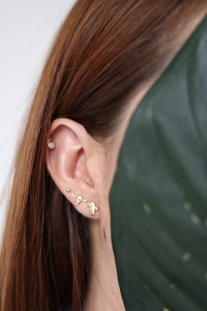 Broquel Cactus del Oeste 