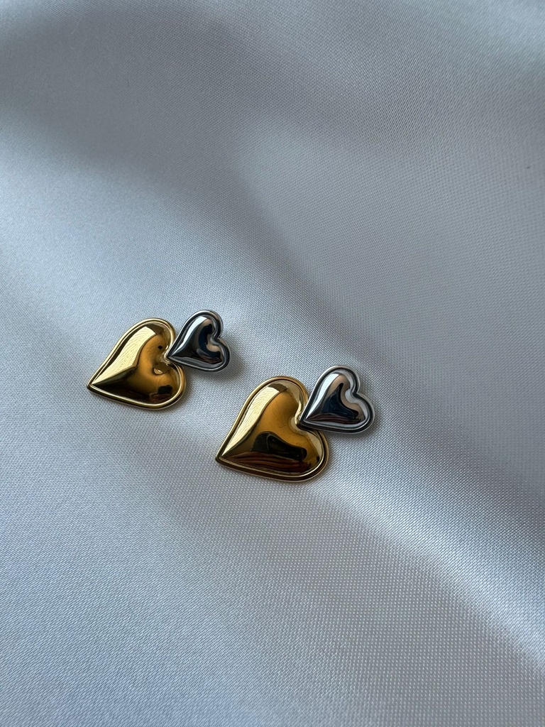 Aretes Latido Bicolor