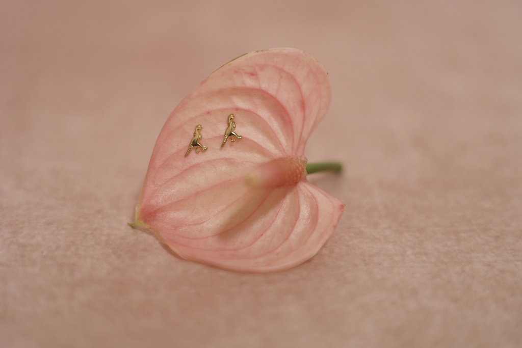 Broquel Dinosaurio T-Rex