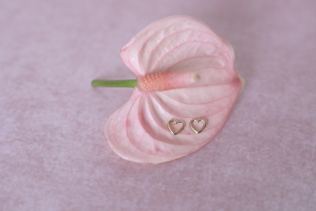 Broquel Corazón Silueta Grande con Mariposa