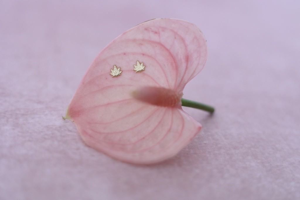 Broquel Hoja de Marihuana
