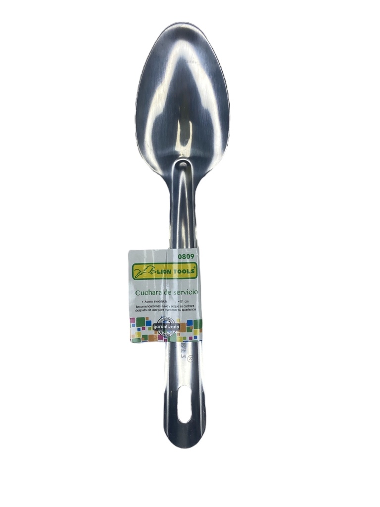 Cuchara Servicio 21cm Lion Tools