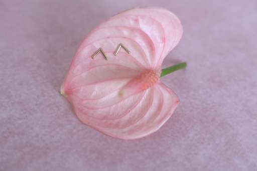 [Broquel 143] Broquel Barra V