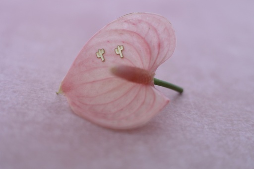 [Broquel 153] Broquel Cactus 