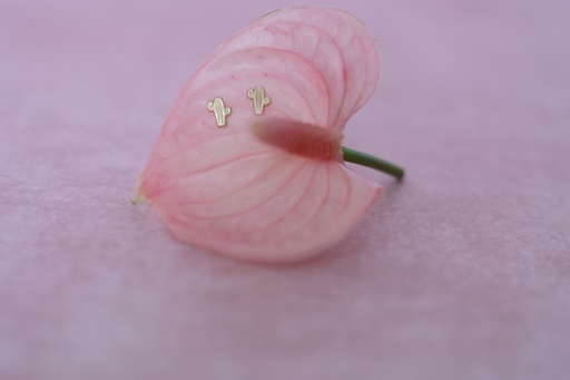 [Broquel 154] Broquel Cactus del Oeste 