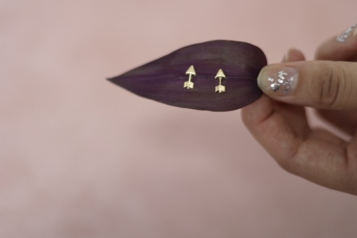 [Broquel 191] Broquel Flecha