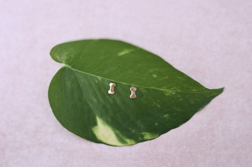 [Broquel 208] Broquel de Hueso